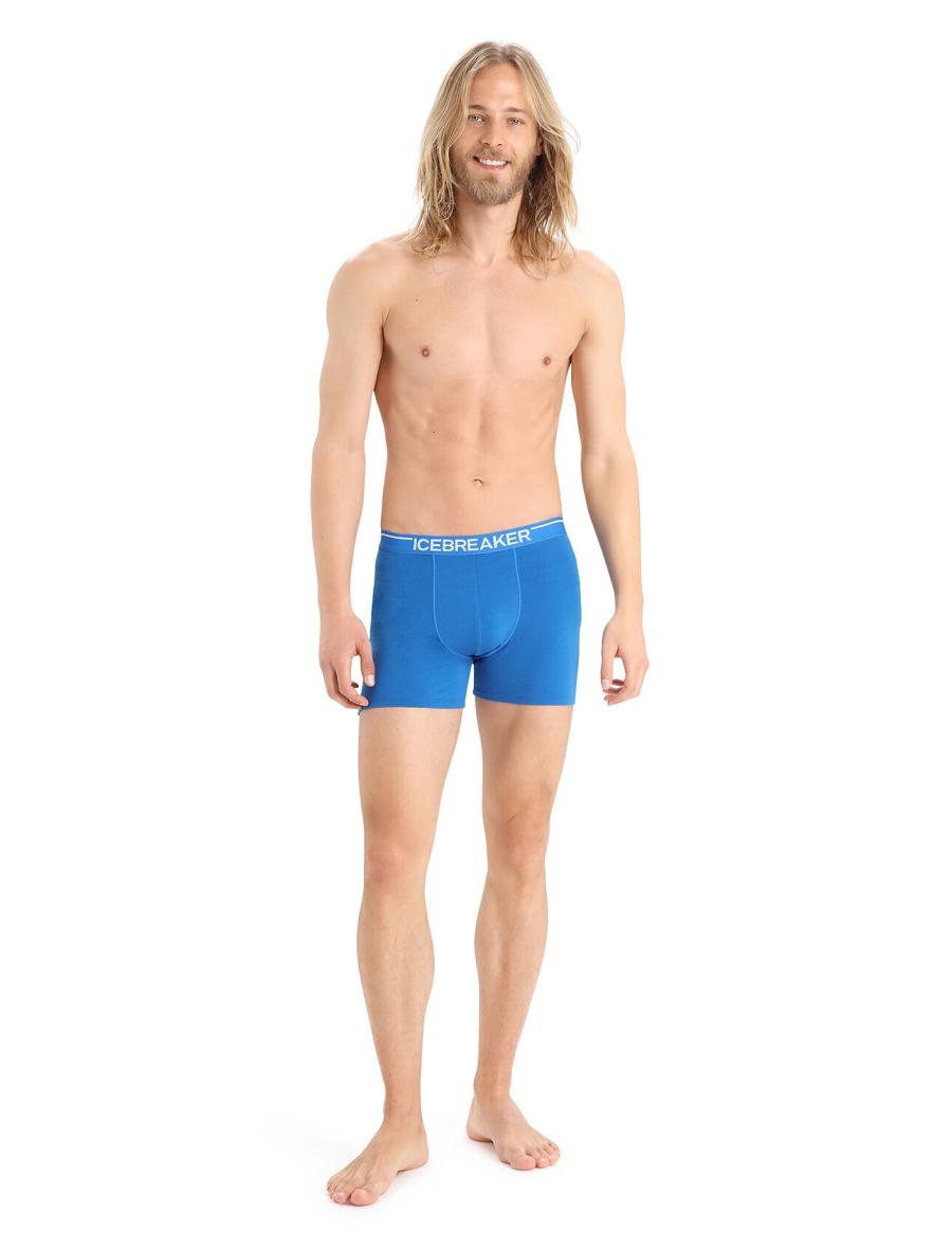 Lazurite Men's Icebreaker Merino Anatomica Boxers Underwear | USA 1311TCEV